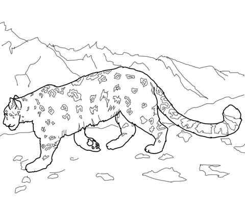 Snow Leopard Coloring Page